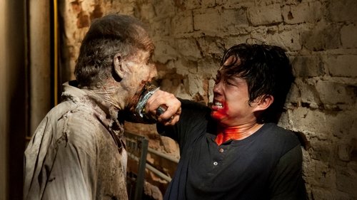 Épisode 7