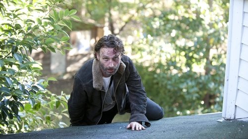 Épisode 11