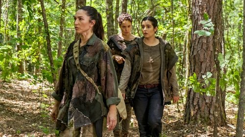 Épisode 6
