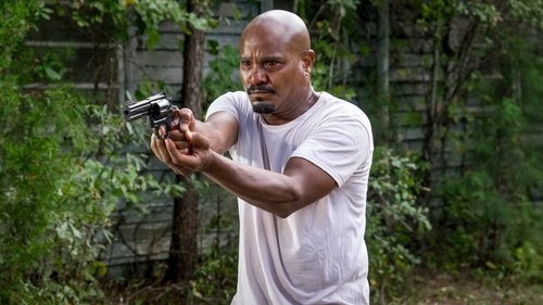 Épisode 11