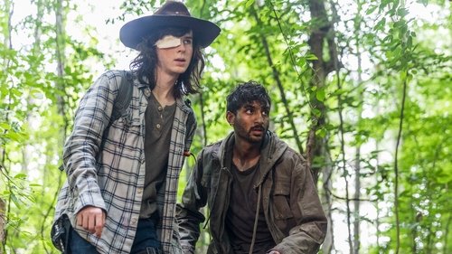 Épisode 6