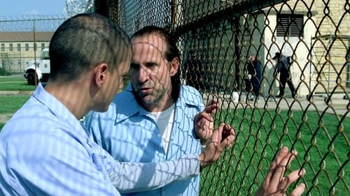 Épisode 10